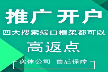 百度竞价代理的客户案例：如何实现ROI最大化